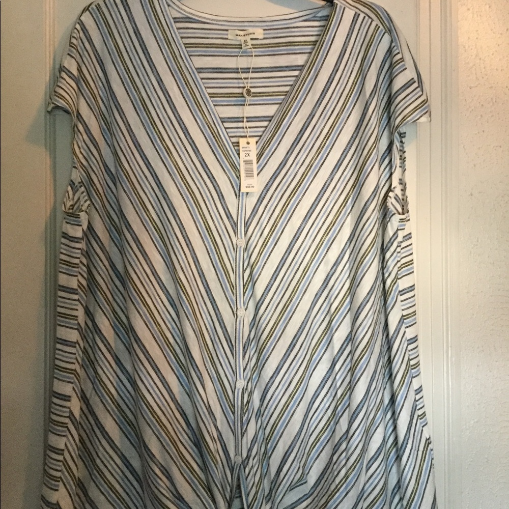 Max Studio blouse